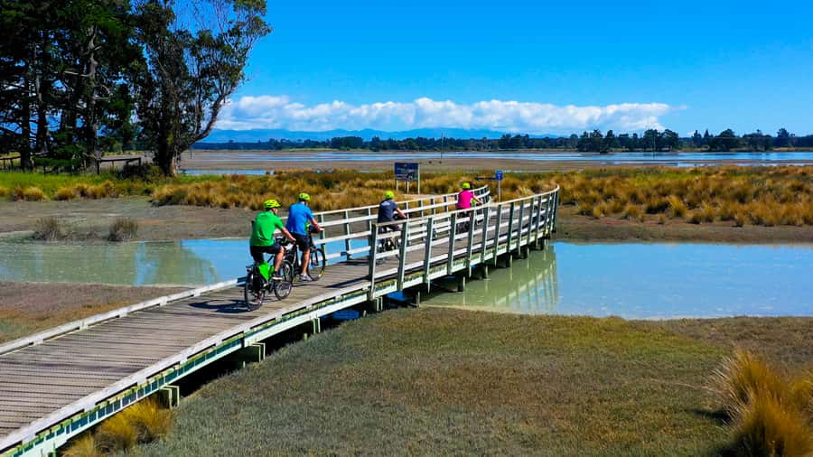 Nelson to Mapua: Full-Day Cycling Self-Guided Adventure - The less polished middle section