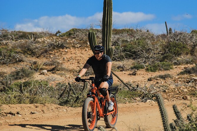 New Attraction: Guinness World Record Sky Bike in Los Cabos - Buffet, Tequila Tasting, and the Nature Reserve