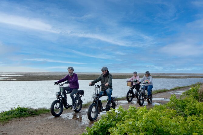 New Forest E-Bike Adventure - Key points to know before you ride