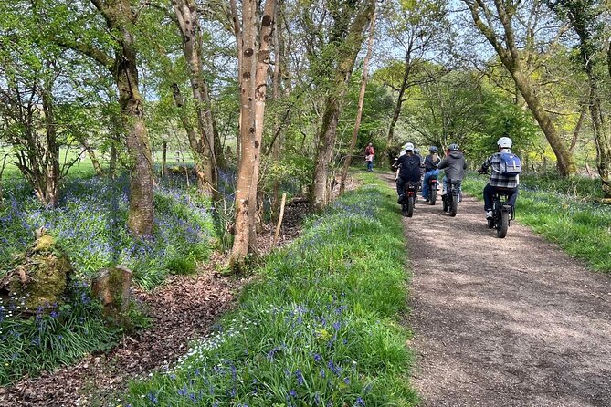 New Forest E-Bike Adventure - Starting at Keyhaven on the New Forest coast