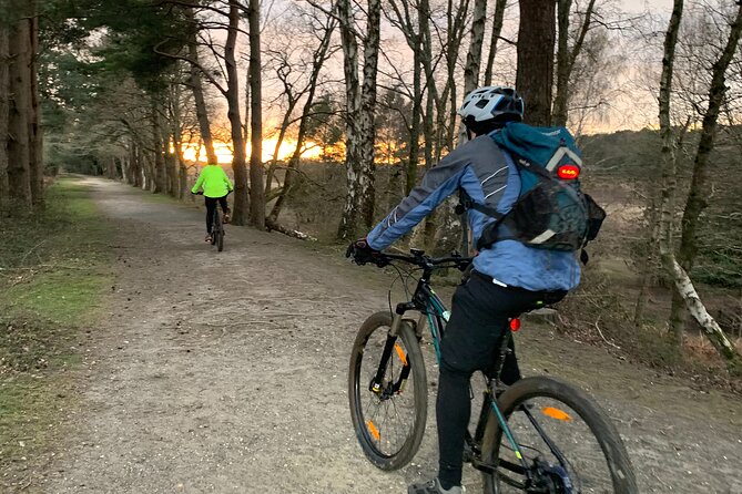 New Forest Sunset Bike Rides - Why a sunset bike ride works well in the New Forest