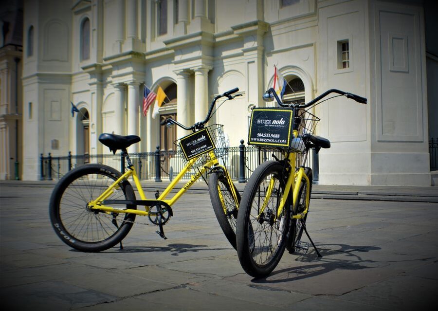 New Orleans: Buzz the Crescent Guided Bike Tour - City Park, Wildlife, and a Beignet Choice