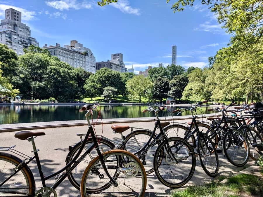 New York City: Best of Central Park Bike Tour - Bikes, comfort, and the pace of the ride