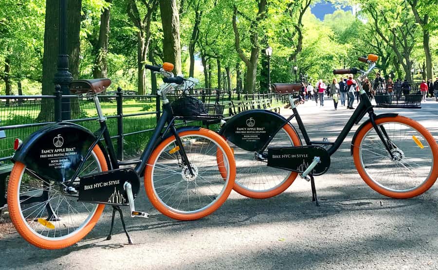 New York City: Best of Central Park Bike Tour - Bethesda Fountain sets the tone