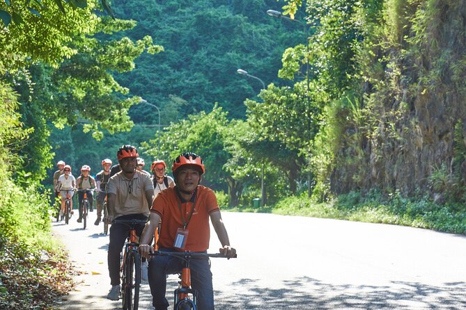 Ninh Binh Day Trip: Hoa Lu-Trang An/Tam Coc-Mua Cave-Cycling-Boat - Who will enjoy this busy day most