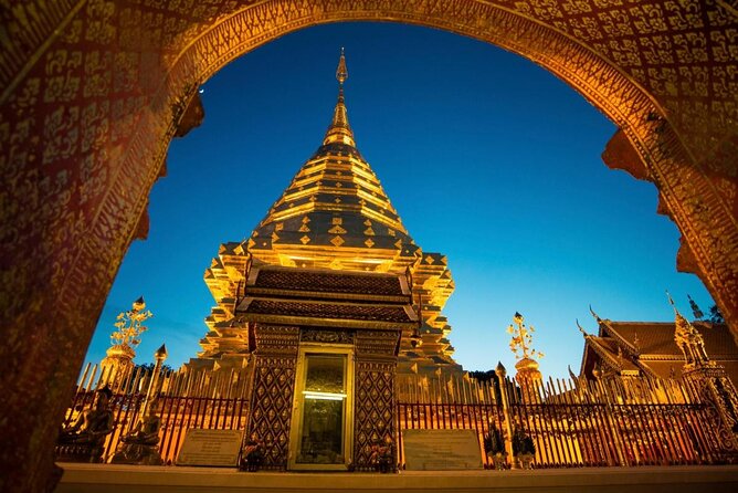 No.1 Chiang Mai: Advanced Downhill Mountain Biking, Suthep N.Park - Key points to know before booking