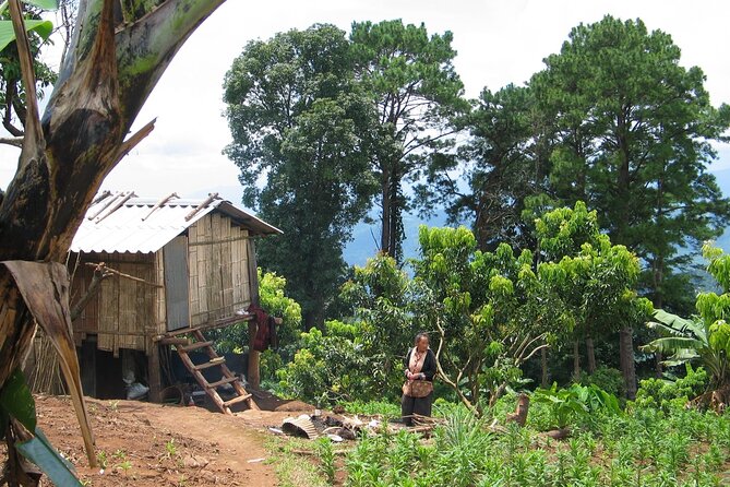 No.1 Chiang Mai: Advanced Downhill Mountain Biking, Suthep N.Park - Reaching the Mae Ping valley through forest and villages