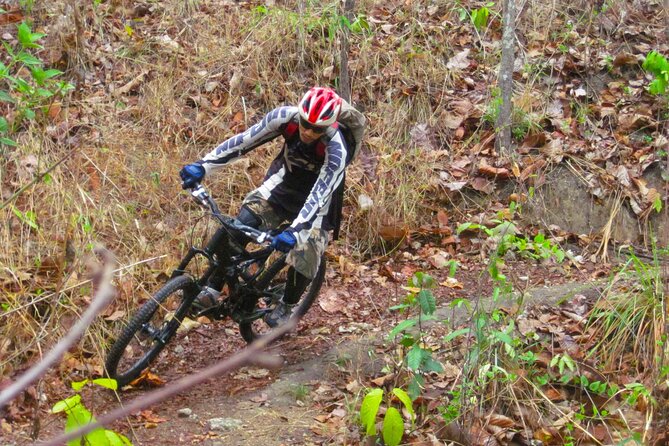 No.1 Chiang Mai: Advanced Downhill Mountain Biking, Suthep N.Park - Is $74.95 a fair price?
