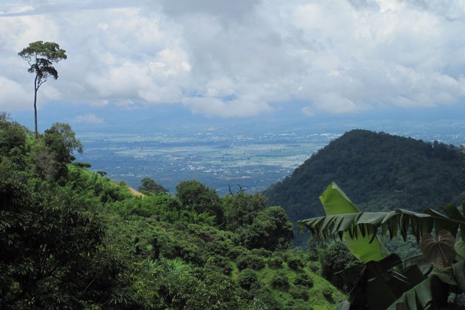 No.1 Chiang Mai: Advanced Downhill Mountain Biking, Suthep N.Park - Who should book this ride?