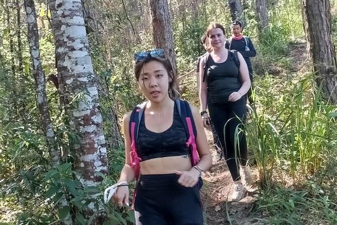 "No.1 Chiang Mai: Suthep N. Park Leisure walks & Mountain Biking" - Wat Pha Lat, a quieter temple in the trees