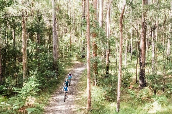 Noosa eMtn Bike Tour: Exploring a National Park on Fun MTB Trails - Key things to know before you book