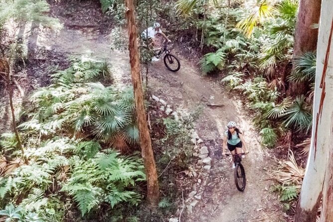 Noosa eMtn Bike Tour: Exploring a National Park on Fun MTB Trails - What the Noosa eMtn Bike Tour is really like
