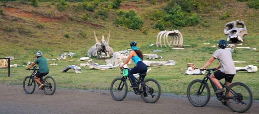 Oahu: Kualoa Electric Bike Tour - Why an electric bike works so well at Kualoa Ranch