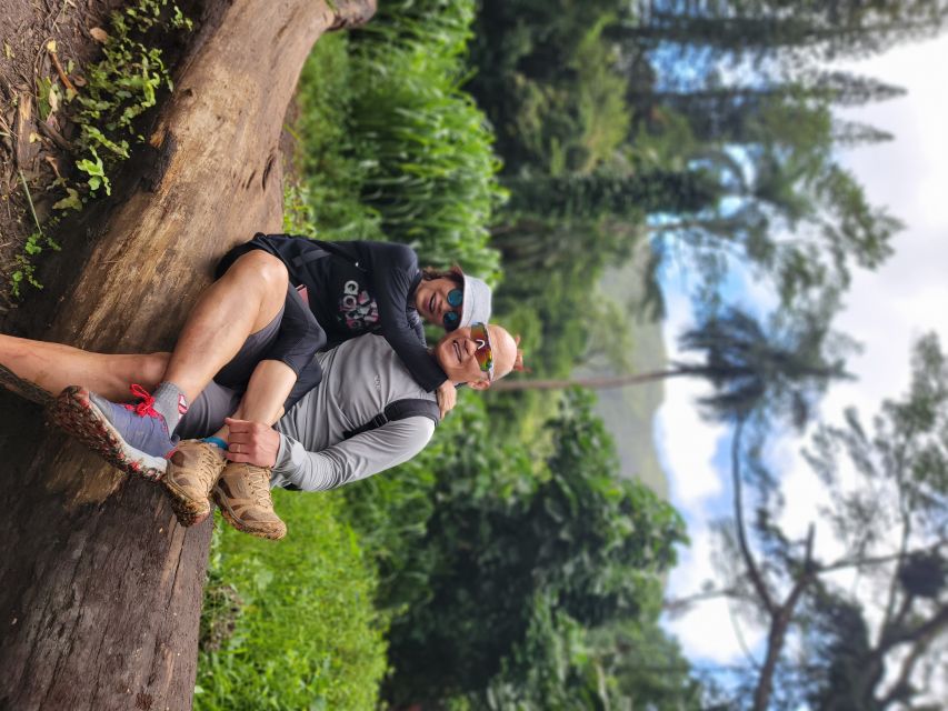 Oahu: Waikiki E-Bike Ride and Manoa Falls Hike - Locking the bikes and starting the Manoa Falls hike