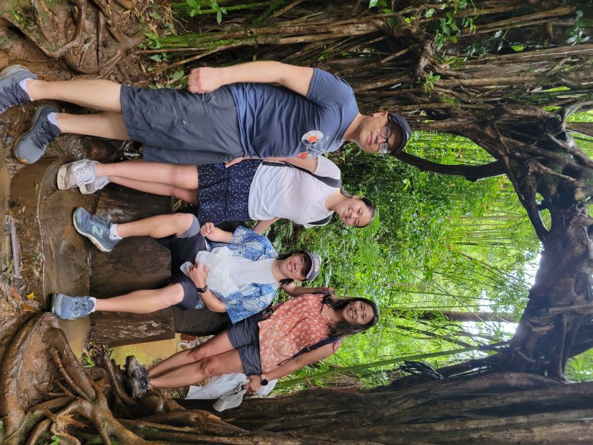 Oahu: Waikiki E-Bike Ride and Manoa Falls Hike - The return to Waikiki and optional shave ice