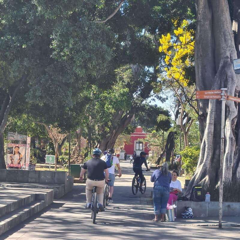 Oaxaca City: Bike Tour with Professional Guide+Art workshop - Xochimilco: another historic neighborhood