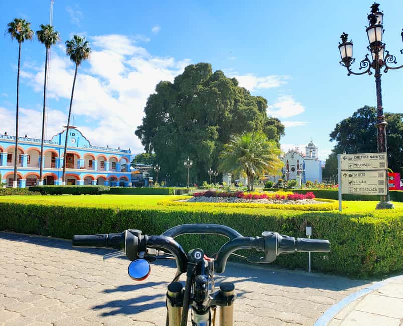 Oaxaca: Guided Bike Tour to the Largest Tree in the World - Meeting El Árbol del Tule