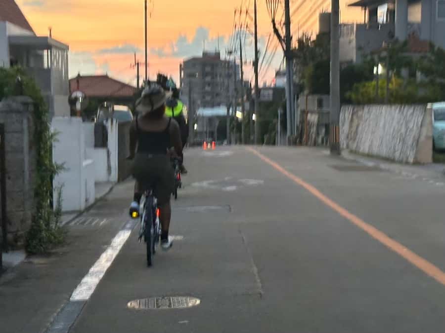 Okinawa: Afternoon Cycling Tour with Local Guide - Is $87 a Fair Price?