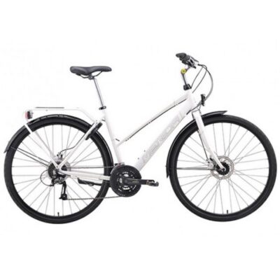 Winter Highlights 3-Hour Bike Tour