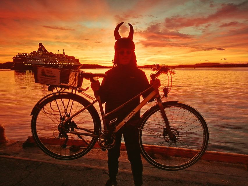 Oslo: Winter Highlights 3-Hour Bike Tour - Karl Johans Gate and the holiday center