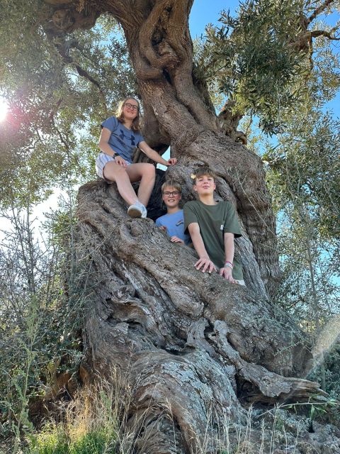 Ostuni: E-bike Tour, Ancient Olive Trees & Oil Tasting - The ride through the Coastal Dunes Regional Park