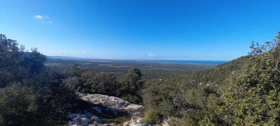 Ostuni: Guided e-bike tour + countryside tasting stop - Who Will Enjoy This Ostuni Ride Most?
