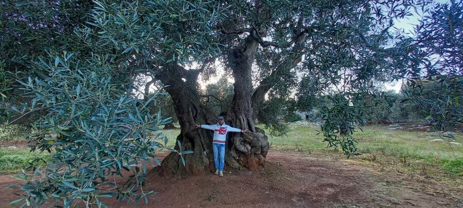 Ostuni: Guided e-bike tour + countryside tasting stop - The Best Time and the Practical Details
