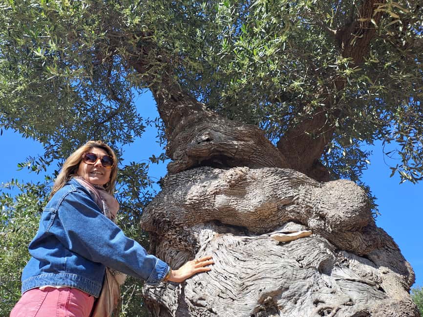 Ostuni: Guided e-bike tour to rock village & olive trees - Key points before you book