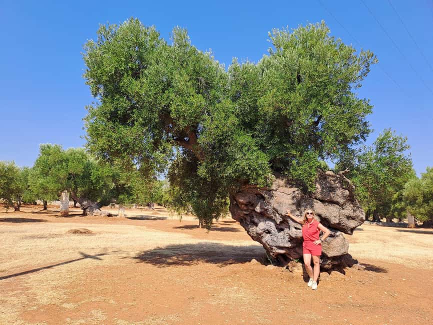 Ostuni: Guided e-bike tour to rock village & olive trees - Who will enjoy this tour most