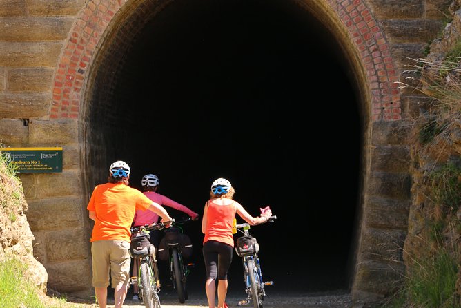 Otago Central Rail Trail One Day Wonder Cycle tour - Omakau to Chatto Creek, with a choice to stop