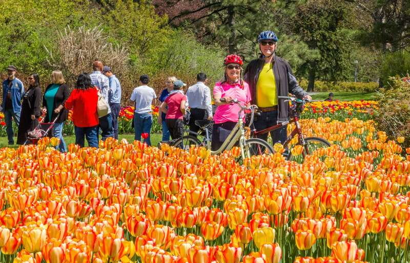 Ottawa: 2 or 3.5-Hour Guided Bike Tour with a Local Guide - Quick takeaways from the Ottawa bike tour