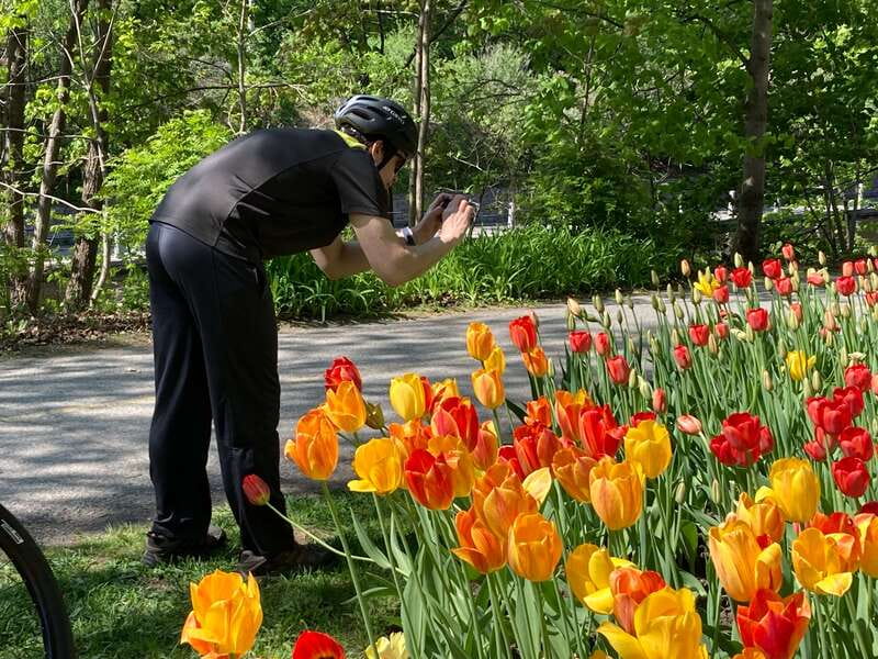 Ottawa: 2 or 3.5-Hour Guided Bike Tour with a Local Guide - Final verdict: book the shorter or longer ride?
