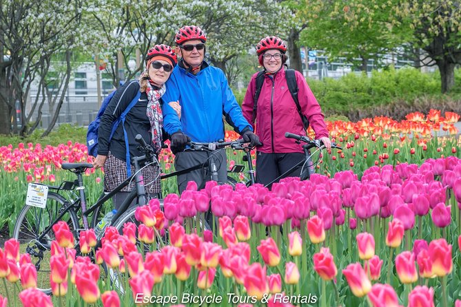 Ottawa Highlights 3.5 Hour Bike Tour - Rideau Hall, Rideau Falls, and the return through central Ottawa