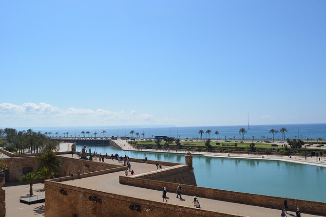 Palma de Mallorca Easy Bike Tour (Small Groups) - Es Baluard gives you the first big view