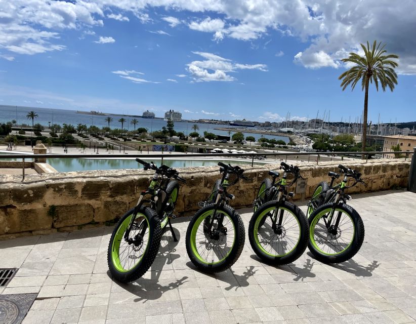 Palma: Guided City Tour with a Fat Tire E-Bike - Guides, Pace, And Group Comfort