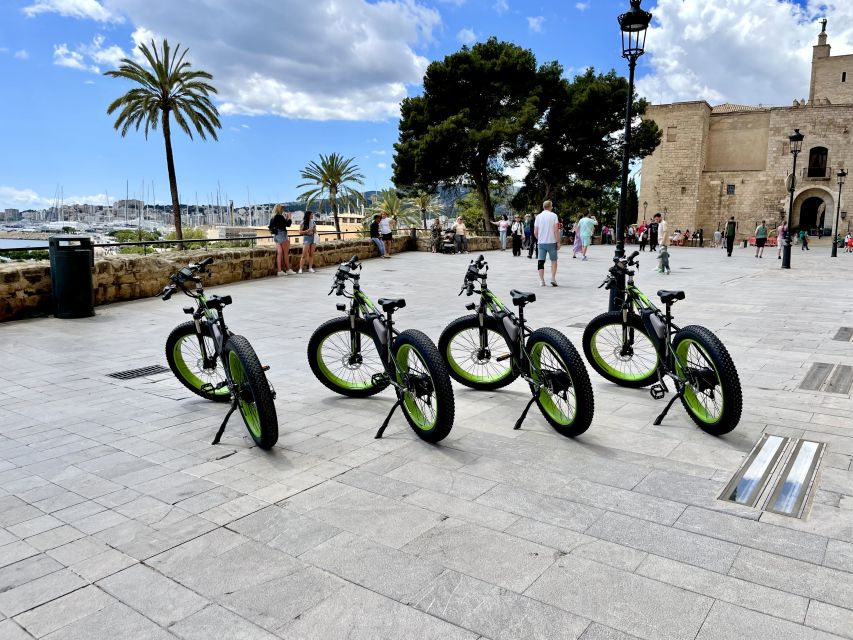 Palma: Guided City Tour with a Fat Tire E-Bike - Who Should Book This Ride?