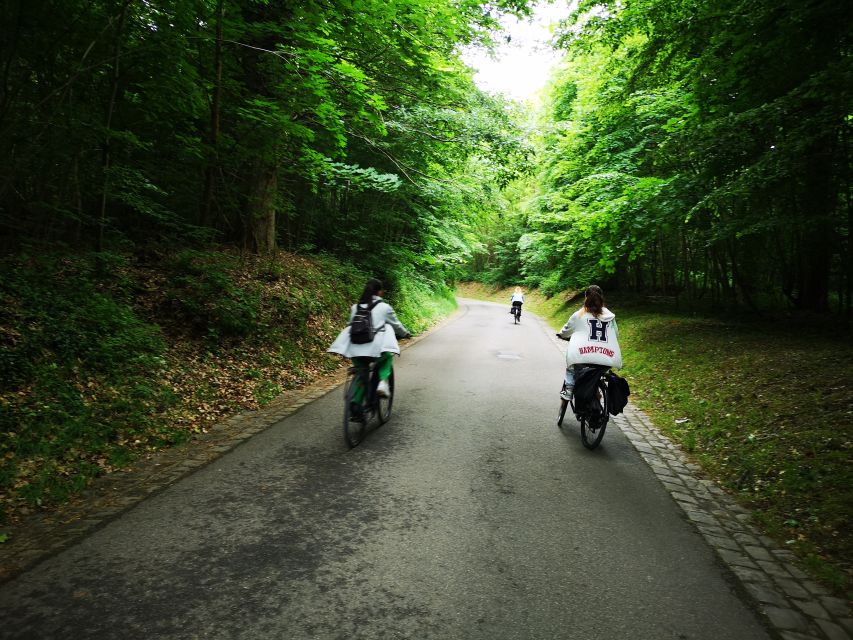 Paris: Versailles Palace and Queen Hamlet E-Bike Tour - The Train Home and the Value of $199