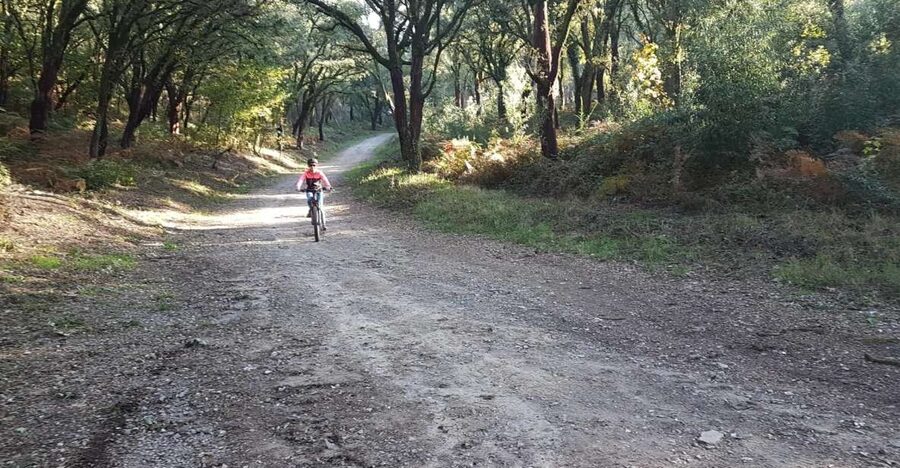 Peneda Gerês National Park: Self-Guided Electric Bike Tour - Starting at Tobogã Base beside the Lima River