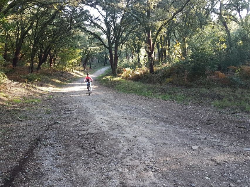 Peneda Gerês National Park: Self-Guided Electric Bike Tour - Ermelo and the mountain road toward Soajo