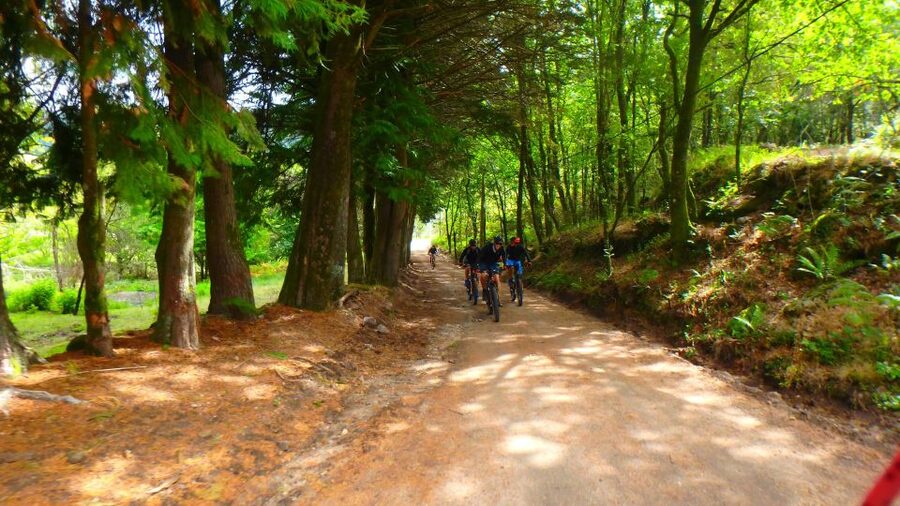 Peneda Gerês National Park: Self-Guided Electric Bike Tour - Soajo’s granaries and old village character