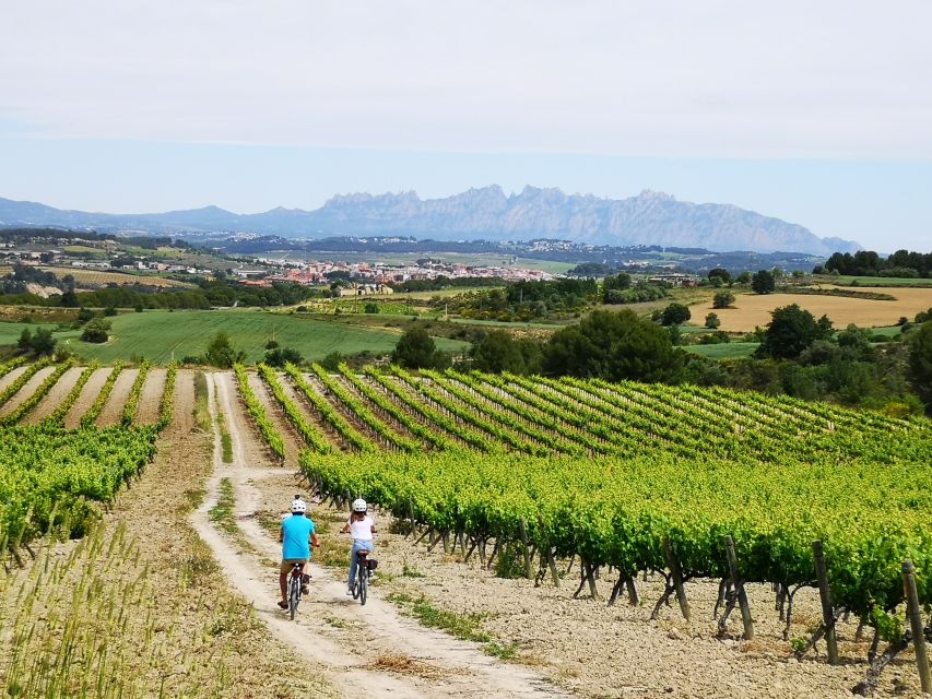Penedès/BCN: Self-Guided eBike Tour with guided Winery Visit - Key points at a glance