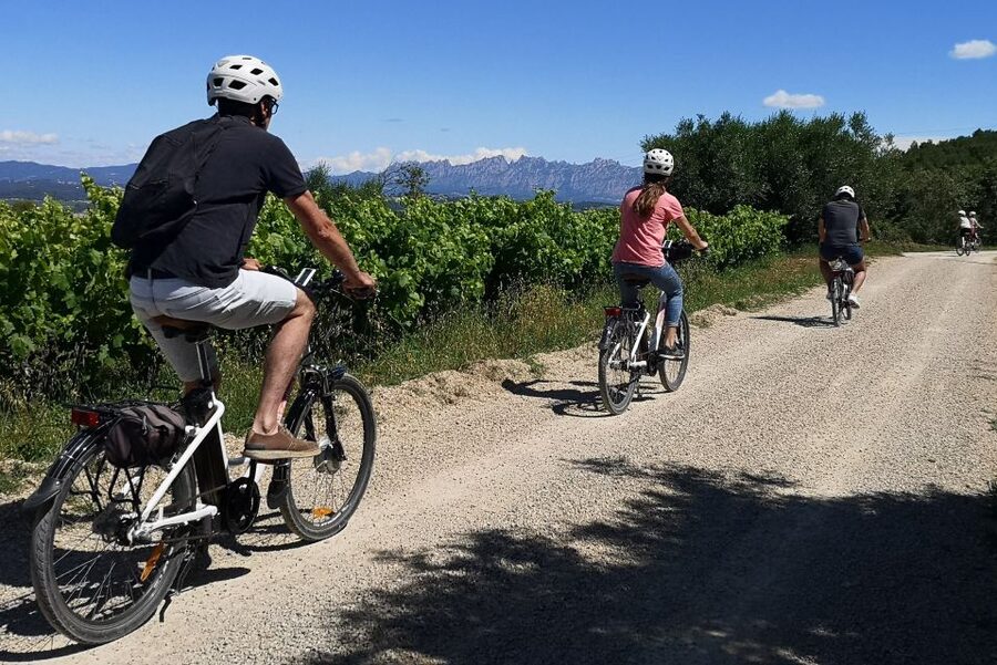 Penedès/BCN: Self-Guided eBike Tour with guided Winery Visit - Practical tips for a smoother day