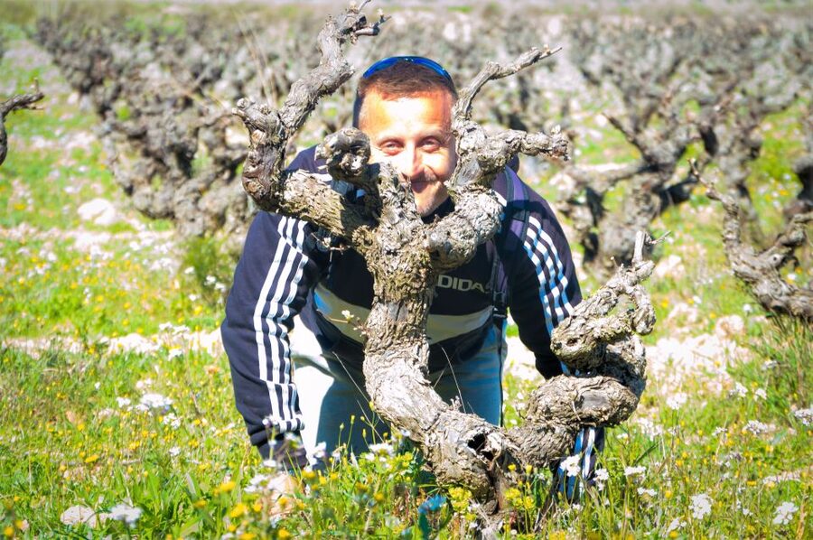 Penedès/BCN: Self-Guided eBike Tour with guided Winery Visit - Choosing between an eBike and a conventional bicycle