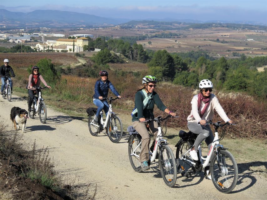 Penedès/BCN: Self-Guided eBike Tour with guided Winery Visit - Riding the vineyard paths toward Montserrat