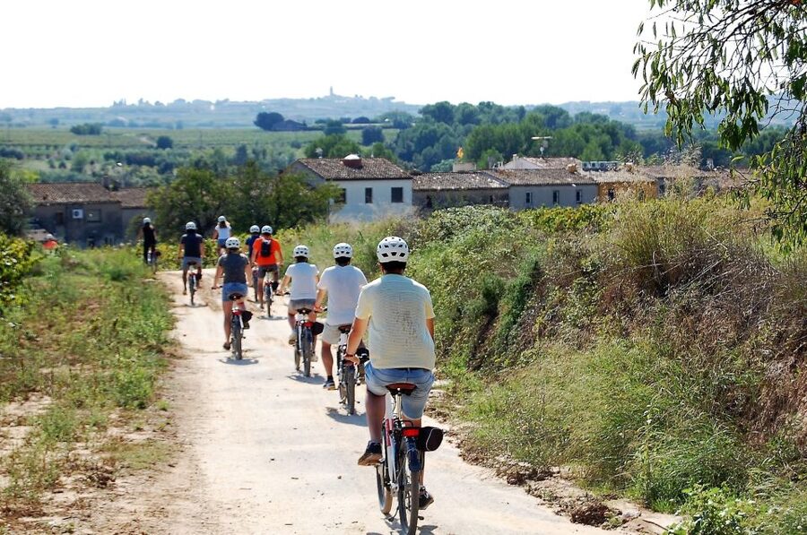 Penedès/BCN: Self-Guided eBike Tour with guided Winery Visit - Who will enjoy this most