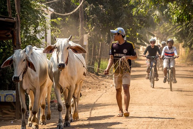 Phnom Penh: Cycling Adventure on Islands of the Mekong - Starting at Areiksart Ferry Port