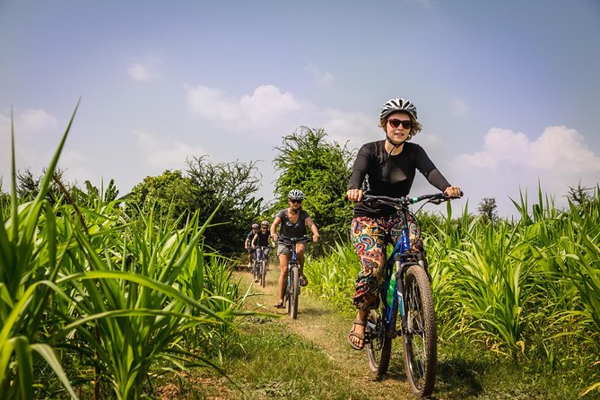 Phnom Penh: Cycling Adventure on Islands of the Mekong - Orchards, market gardens, and peaceful farmland