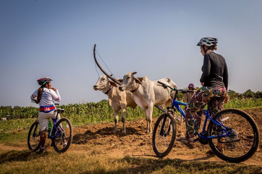 Phnom Penh: Mekong Islands & Silk Islands Guided Bike Tour - A Pagoda, Local Life, and Buddhist Practice