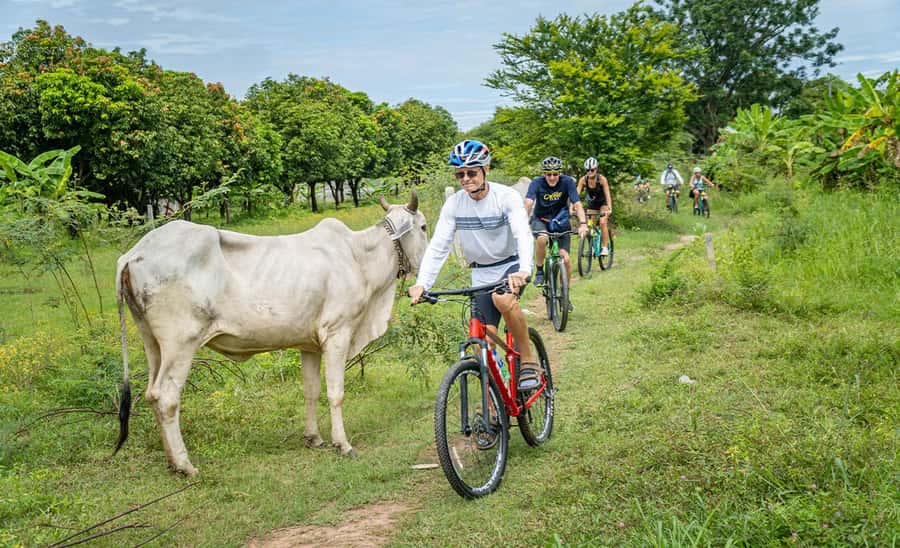 Phnom Penh: Mekong Islands Sunset Bike Tour include drinks - What the $49 price really covers