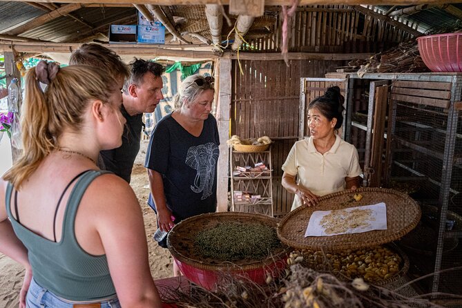Phnom Penh Silk Island Bike Tour/ E-Bike or Tuk Tuk - Cycling through farms, orchards, and village roads